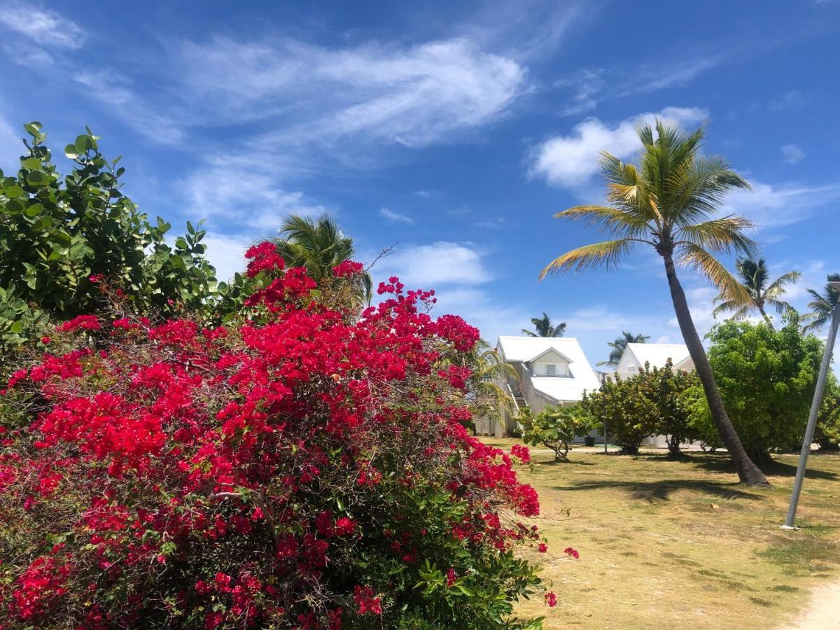 Sweet Home Sxm Baie Nettle Pieds Dans L'Eau Sandy Ground المظهر الخارجي الصورة