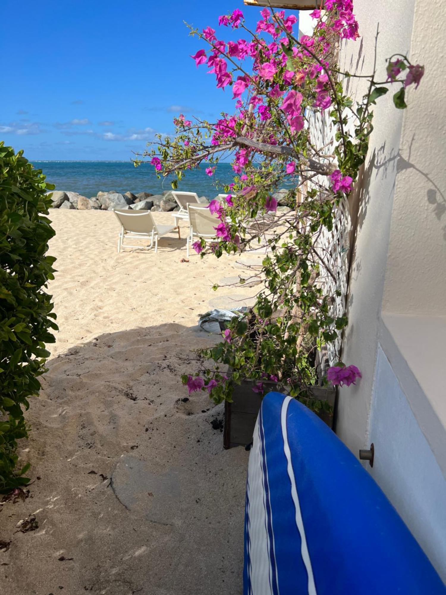 Sweet Home Sxm Baie Nettle Pieds Dans L'Eau Sandy Ground المظهر الخارجي الصورة